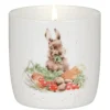 Wax Lyrical Wrendale Designs - Grow Your Own Jar Candle