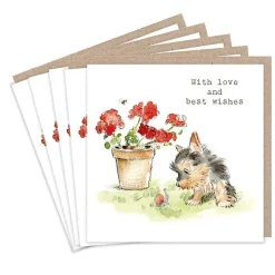Paper Shed Design Yorkie and Snail "With love and best wishes" Set of 5  Notecards