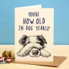 Bewilderbeest You're How Old in Dog Years Greetings Card