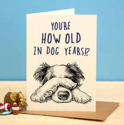 Bewilderbeest You're How Old in Dog Years Greetings Card